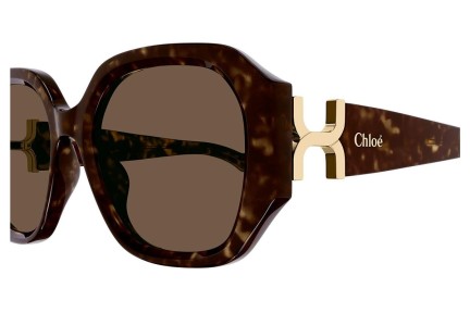 Zonnebril Chloe CH0236S 002 Vierkant Havana