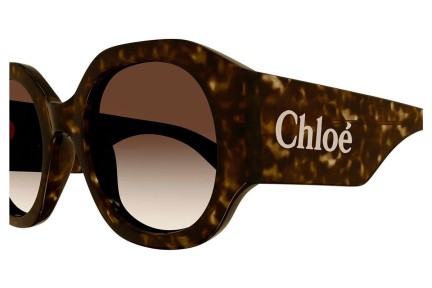 Zonnebril Chloe CH0234S 002 Ronde Havana