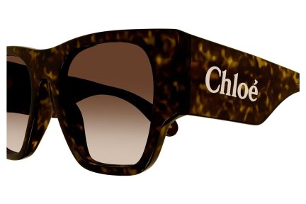 Zonnebril Chloe CH0233S 002 Vierkant Havana