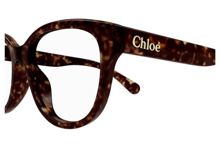 Brillen Chloe CH0243O 006 Rechthoekige Havana