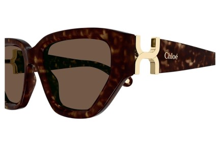 Zonnebril Chloe CH0235S 002 Rechthoekige Havana