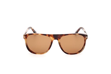 Zonnebril Tom Ford FT1105 55E Vierkant Havana