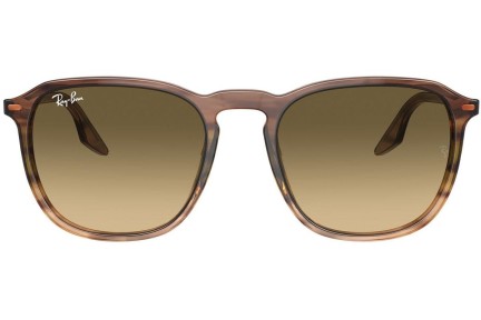 Zonnebril Ray-Ban RB2203 13920A Vierkant Bruin