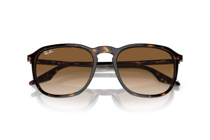 Zonnebril Ray-Ban RB2203 902/51 Vierkant Havana