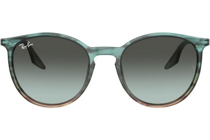 Zonnebril Ray-Ban RB2204 1394GK Ronde Blauw