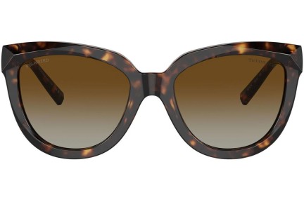 Zonnebril Tiffany & Co. TF4215 8015T5 Polarized Cat Eye Havana