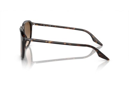 Zonnebril Ray-Ban RB2203 902/51 Vierkant Havana