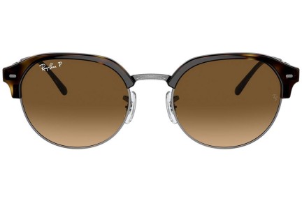 Zonnebril Ray-Ban RB4429 710/M2 Polarized Ovaal Havana