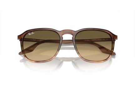 Zonnebril Ray-Ban RB2203 13920A Vierkant Bruin