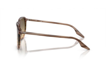 Zonnebril Ray-Ban RB2203 13920A Vierkant Bruin