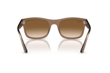 Zonnebril Ray-Ban RB4428 664051 Vierkant Bruin