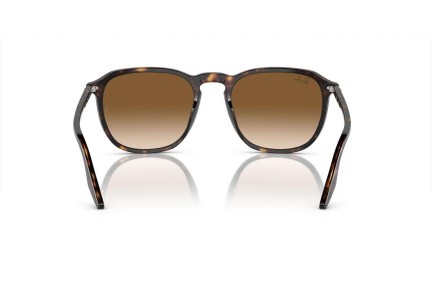 Zonnebril Ray-Ban RB2203 902/51 Vierkant Havana