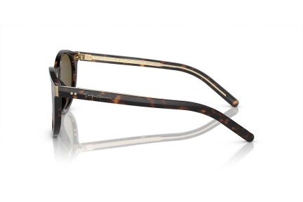 Zonnebril Giorgio Armani AR8199U 587973 Ronde Havana