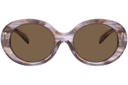 Zonnebril Emporio Armani EA4231U 615673 Ronde Bruin