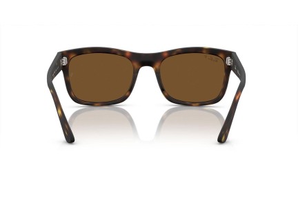 Zonnebril Ray-Ban RB4428 894/57 Polarized Vierkant Havana