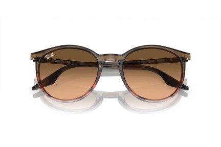 Zonnebril Ray-Ban RB2204 13953B Ronde Bruin