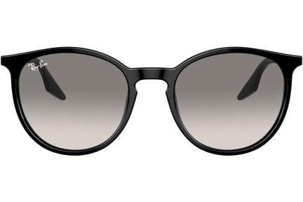 Zonnebril Ray-Ban RB2204 901/32 Ronde Zwart