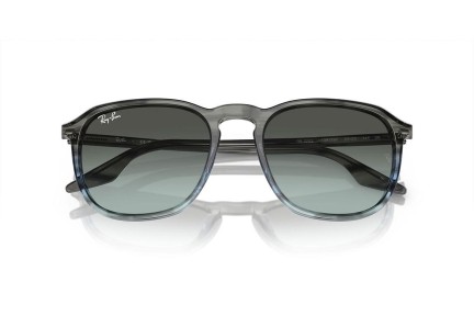 Zonnebril Ray-Ban RB2203 1391GK Vierkant Grijs