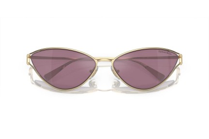 Zonnebril Tiffany & Co. TF3095 6194AK Cat Eye Goud