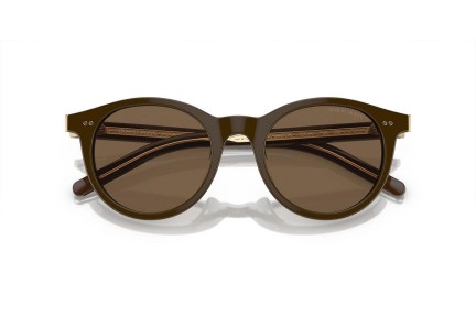 Zonnebril Giorgio Armani AR8199U 604073 Ronde Bruin