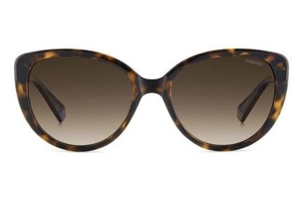 Zonnebril Polaroid PLD4176/S/X 086/LA Polarized Cat Eye Havana