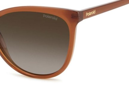 Zonnebril Polaroid PLD4179/S FMP/LA Polarized Cat Eye Bruin