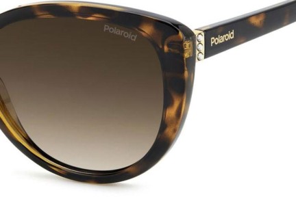 Zonnebril Polaroid PLD4176/S/X 086/LA Polarized Cat Eye Havana