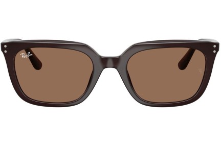 Zonnebril Ray-Ban RB4439D 623173 Vierkant Bruin