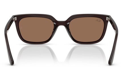 Zonnebril Ray-Ban RB4439D 623173 Vierkant Bruin