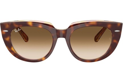 Zonnebril Ray-Ban RB2286 141451 Vierkant Havana