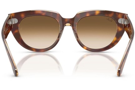 Zonnebril Ray-Ban RB2286 141451 Vierkant Havana