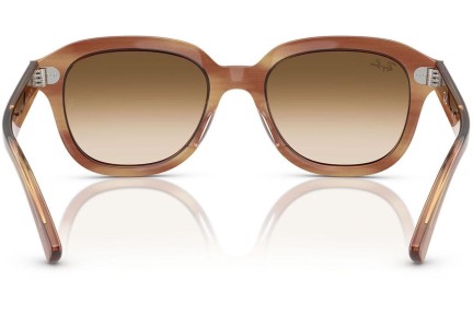 Zonnebril Ray-Ban Erik RB4398 140351 Vierkant Bruin