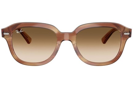 Zonnebril Ray-Ban Erik RB4398 140351 Vierkant Bruin