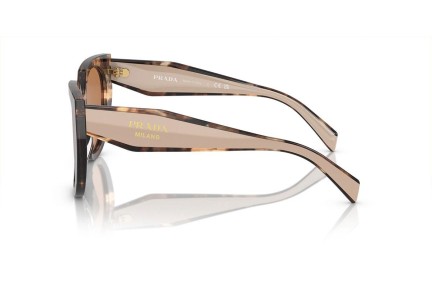 Zonnebril Prada PR14WS 01R2Z1 Cat Eye Havana