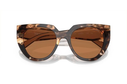 Zonnebril Prada PR14WS 01R2Z1 Cat Eye Havana