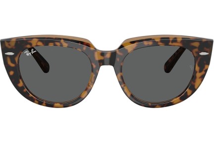 Zonnebril Ray-Ban RB2286 1292B1 Vierkant Havana