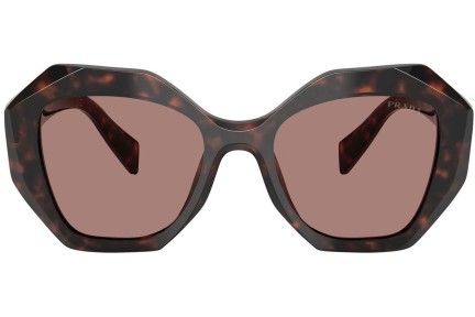 Zonnebril Prada PR16WS 17N60B Special Havana