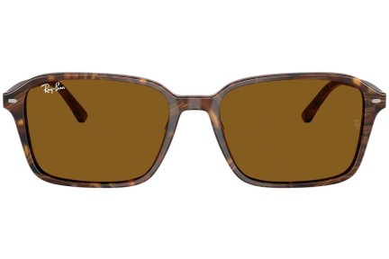 Zonnebril Ray-Ban RB2231 141833 Vierkant Bruin