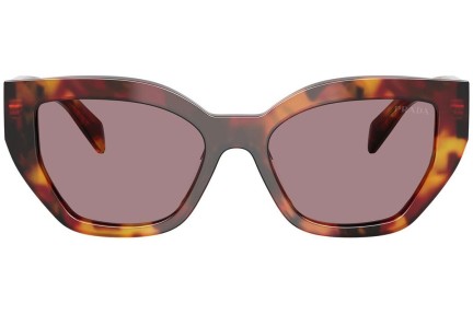 Zonnebril Prada PRA09S 22A20I Cat Eye Havana