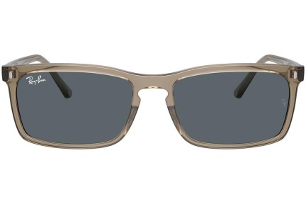 Zonnebril Ray-Ban RB4435 6765R5 Rechthoekige Bruin