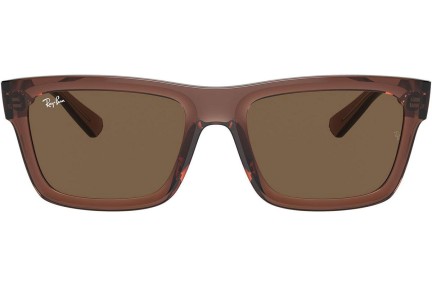 Zonnebril Ray-Ban Warren RB4396 667873 Rechthoekige Bruin