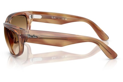 Zonnebril Ray-Ban RB2289 140351 Rechthoekige Bruin