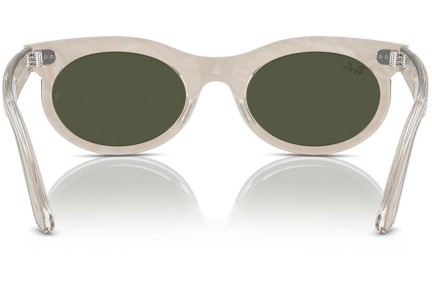 Zonnebril Ray-Ban RB2242 138331 Browline Grijs