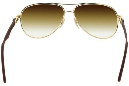 Zonnebril Ray-Ban Carbon Fibre RB8313 001/51 Pilot Goud