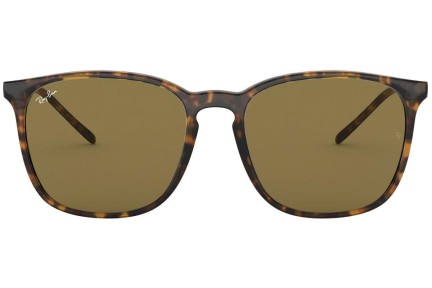 Zonnebril Ray-Ban RB4387 710/73 Vierkant Havana