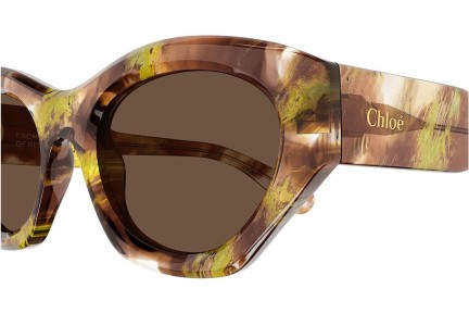 Zonnebril Chloe CH0220S 010 Cat Eye Havana