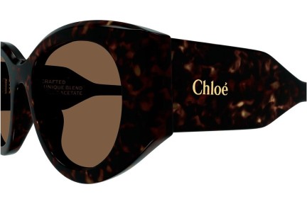 Zonnebril Chloe CH0251S 002 Ronde Havana