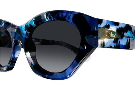 Zonnebril Chloe CH0220S 009 Cat Eye Blauw