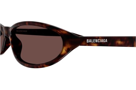 Zonnebril Balenciaga BB0007S 013 Ovaal Havana