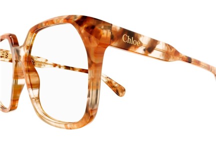 Brillen Chloe CH0263O 005 Vierkant Havana